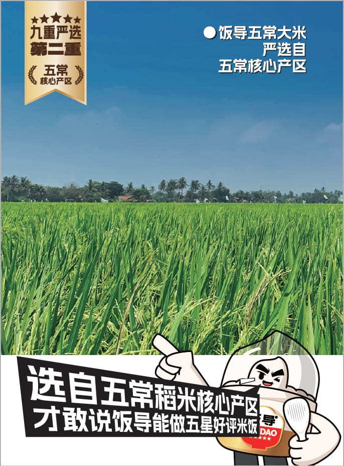 第二重：五常核心产区